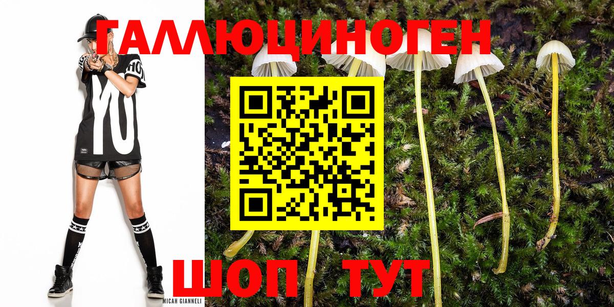 Псилоцибиновые грибы MAGIC MUSHROOMS  Вход с VPN  Ковров 